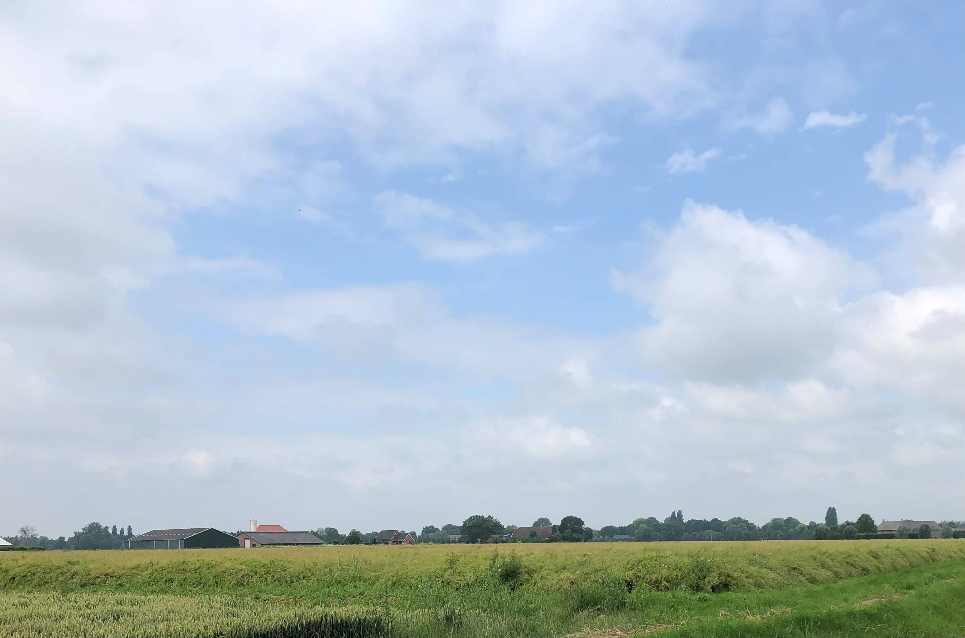 Gemeente Duiven koopt landbouwgronden Biezenkampen voor woningbouw